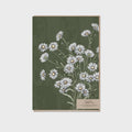 Card - Daisy