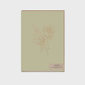 Card - Soft Olive Protea