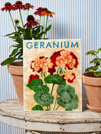 Wall Art - Market Geranium