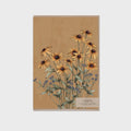 Card - Black Eyed Susan