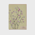 Card - Pink Sunray