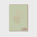 Card - Sage Hellebores