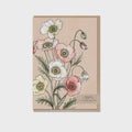 Card - Poppies
