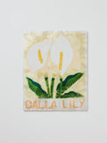 Wall Art - Market Lily
