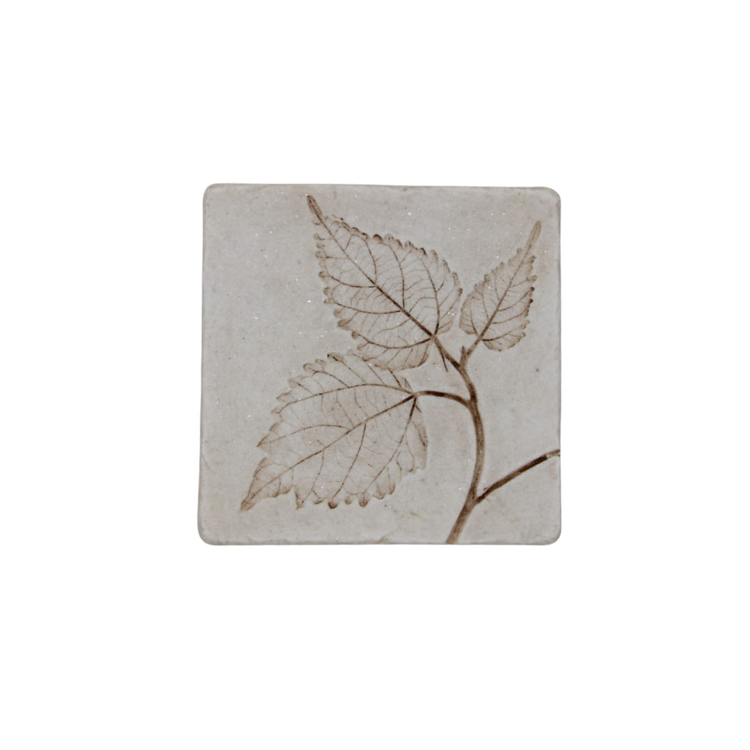 Coaster Set - Floret