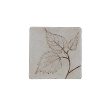 Coaster Set - Floret