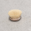 Dish Brush Head