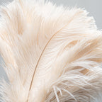 Feather Duster