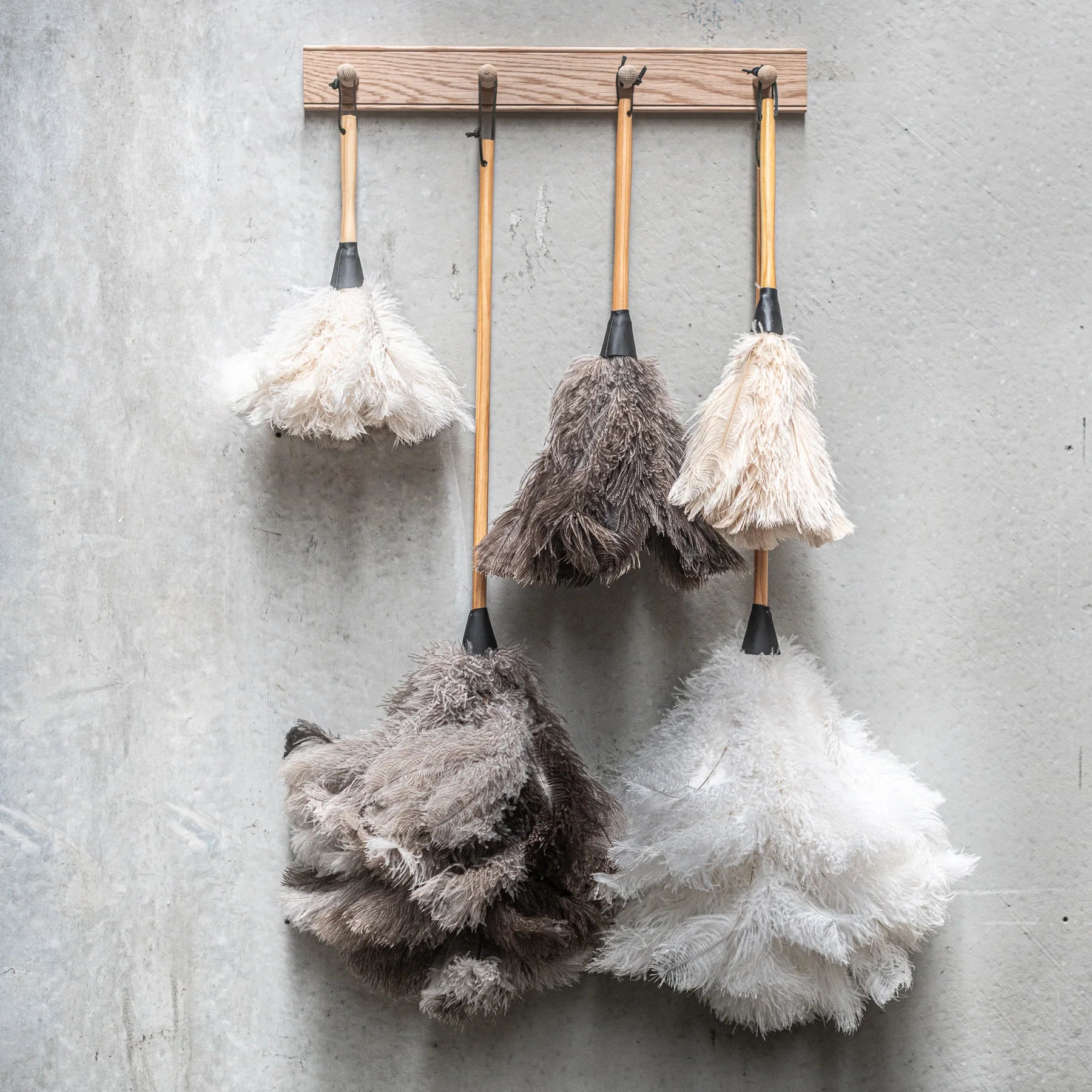Feather Duster