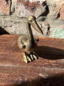 Brass Pelican