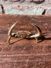 Brass Crab