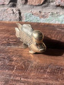 Brass Fish