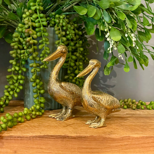 Brass Pelican