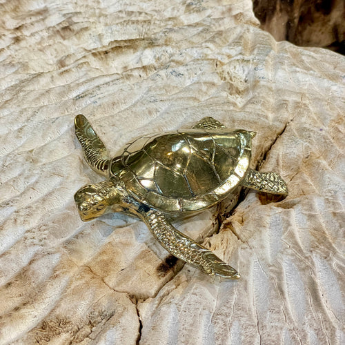 Brass Turtle