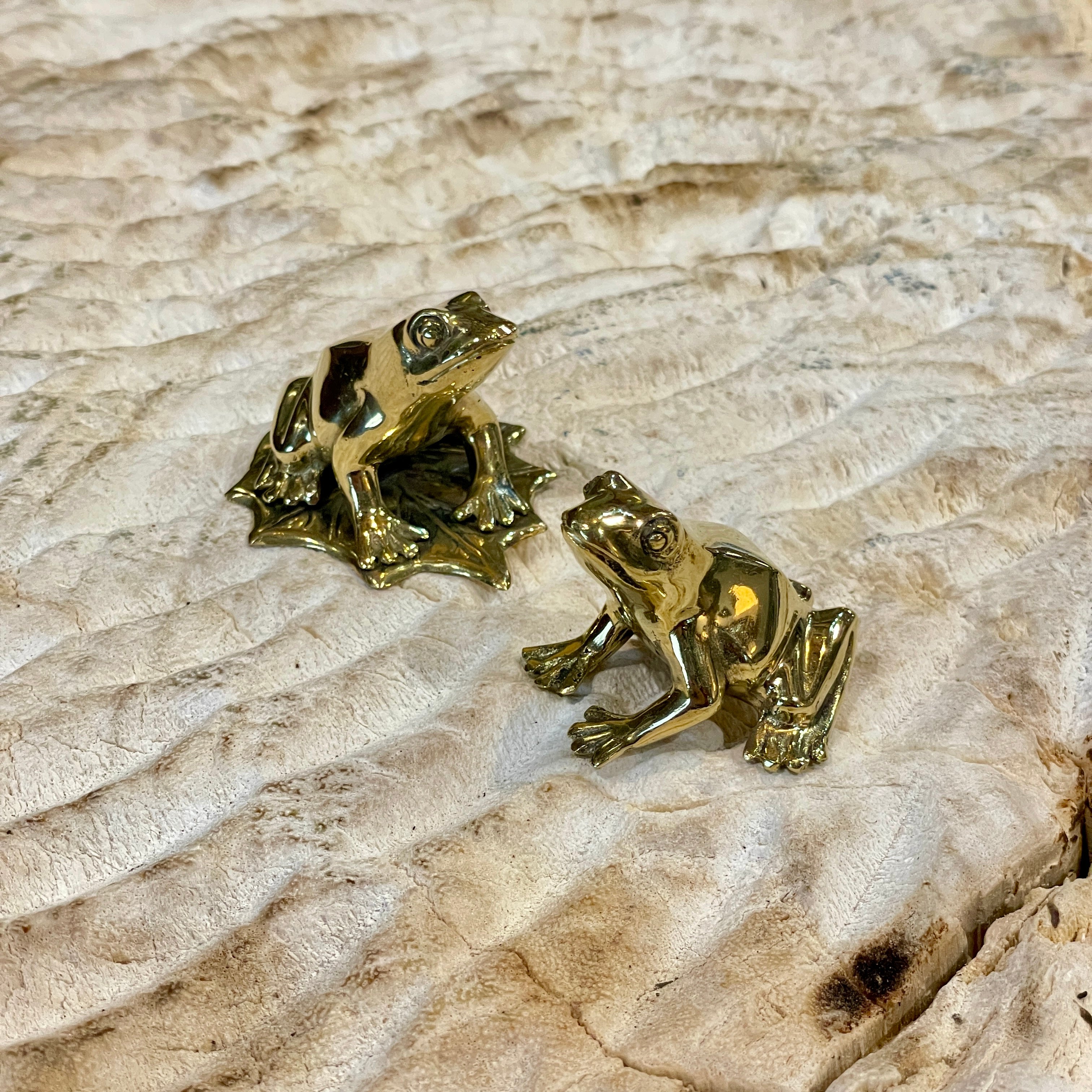 Brass Frog