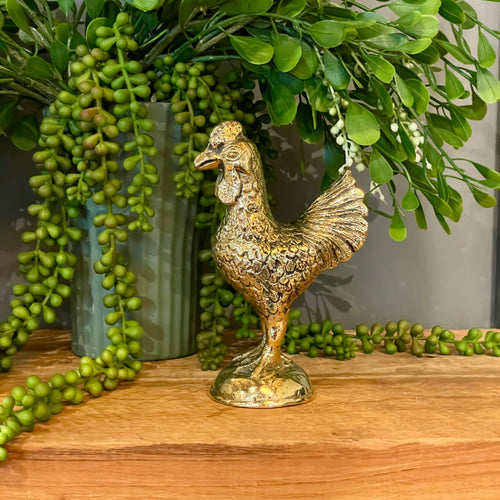Brass Chicken