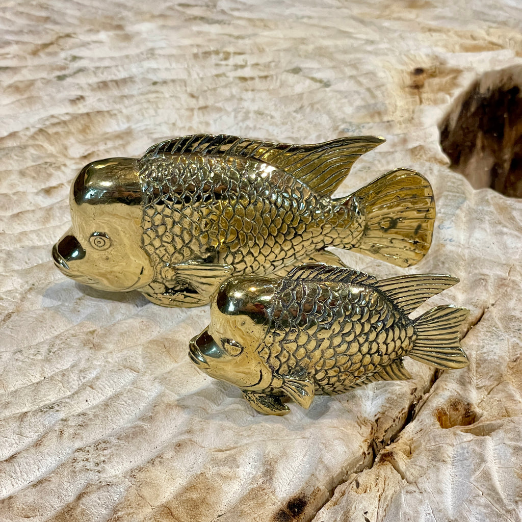 Brass Fish