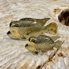 Brass Fish