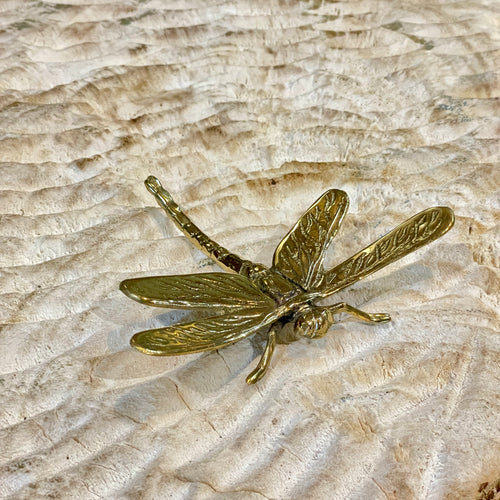 Brass Dragonfly