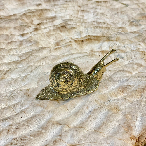 Brass Snail
