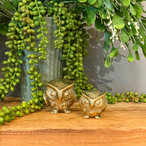 Brass Owl