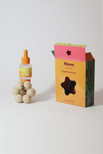 Air Freshener - Gingerbread House