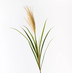 Pampas Grass Spray