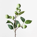 Camellia Fruit Spray