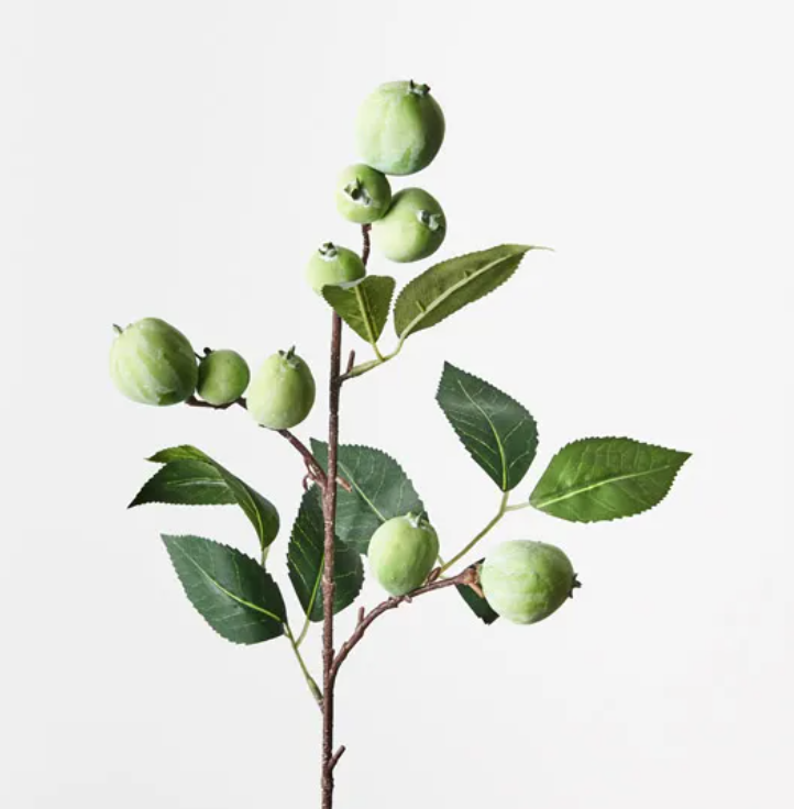 Camellia Fruit Spray
