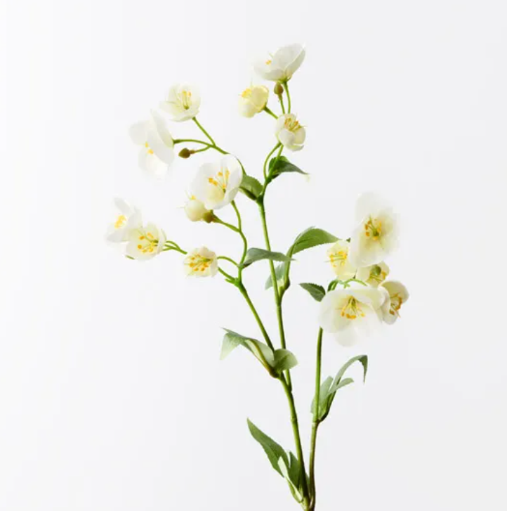 Hellebore Spray - White