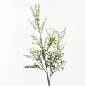 Flowering Spray