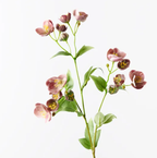 Hellebore Spray - Eggplant