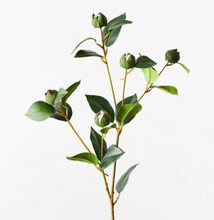 Camellia Bud Spray -White