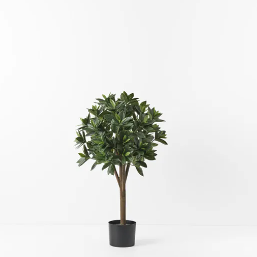 Sweet Leaf Topiary Tree