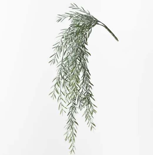 Acacia Leaf Hanging Bush