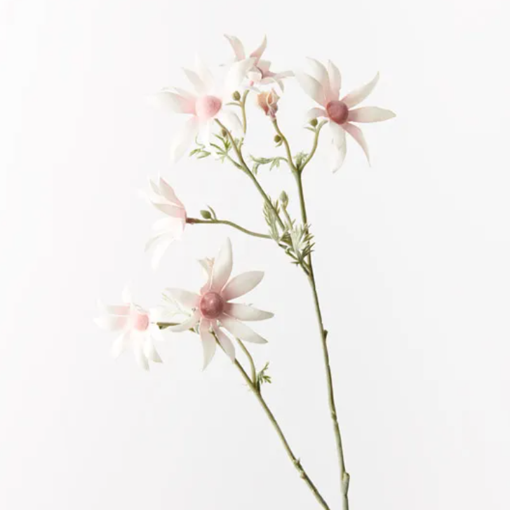 Flannel Flower Spray - Light Pink