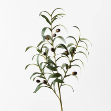 Olive Leaf Spray - Green