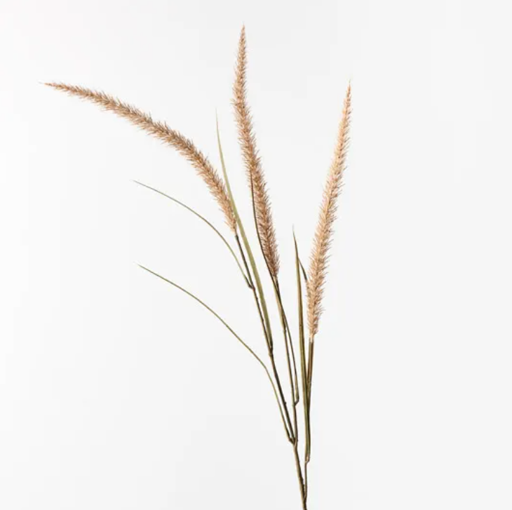 Fountain Grass Spray