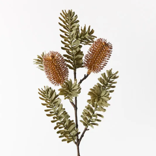 Banksia Spray - Coffee