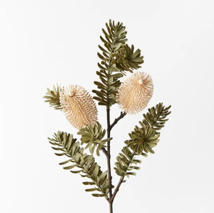 Banksia Spray - Cream