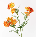 Daisy Spray - Orange