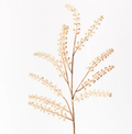 Peppergrass Spray