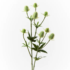 Sea Holly Spray