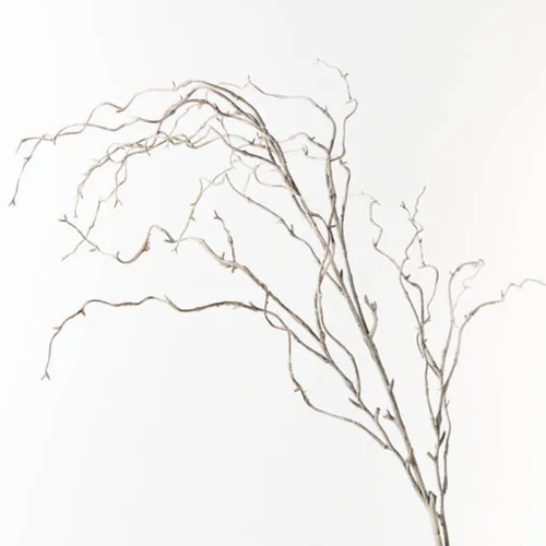 Twig Curly Willow Spray - Grey Wash