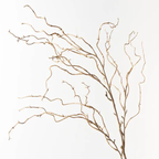 Twig Curly Willow Spray - Sand