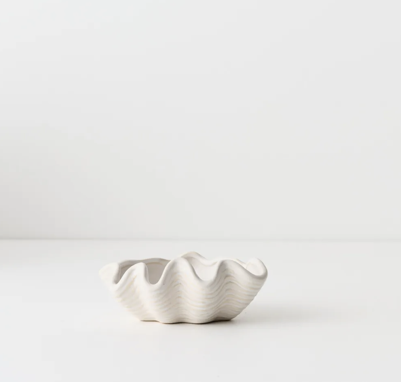 Small Nereus Shell Dish - White