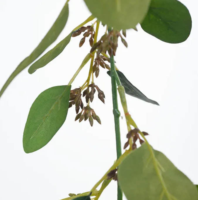 Eucalyptus Seed Garland