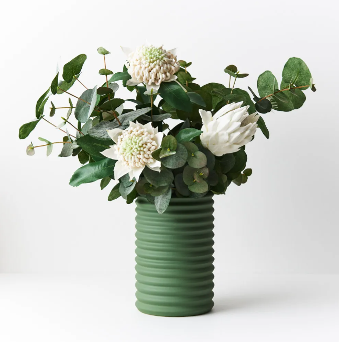 Eucalyptus Silver Dollar Bush
