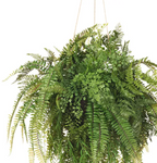 Fern Mixed Ball Hanging