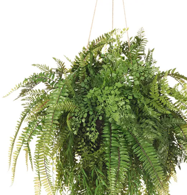 Fern Mixed Ball Hanging